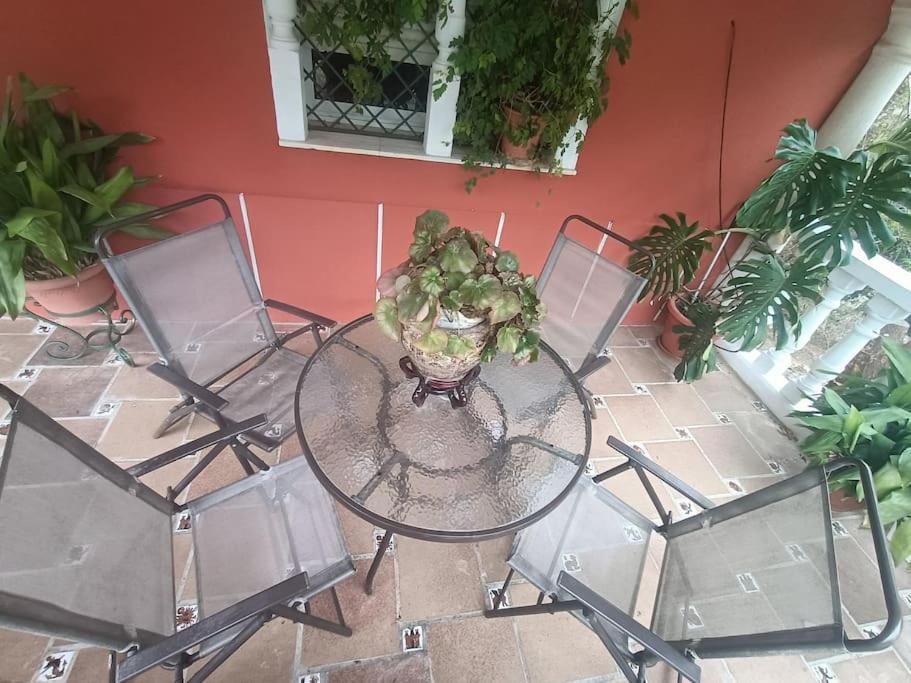 Casa Rural En El Campo Con Animales, Piscina Y Barbacoa Almodóvar del Río Exterior foto