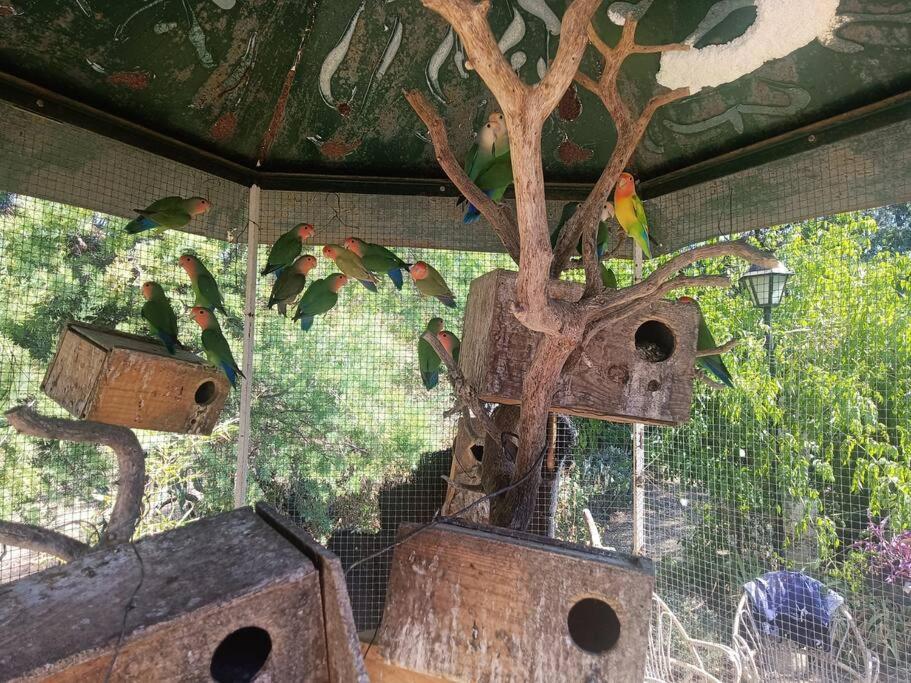 Casa Rural En El Campo Con Animales, Piscina Y Barbacoa Almodóvar del Río Exterior foto