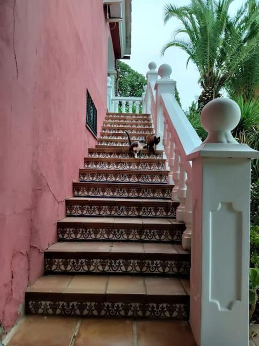 Casa Rural En El Campo Con Animales, Piscina Y Barbacoa Almodóvar del Río Exterior foto